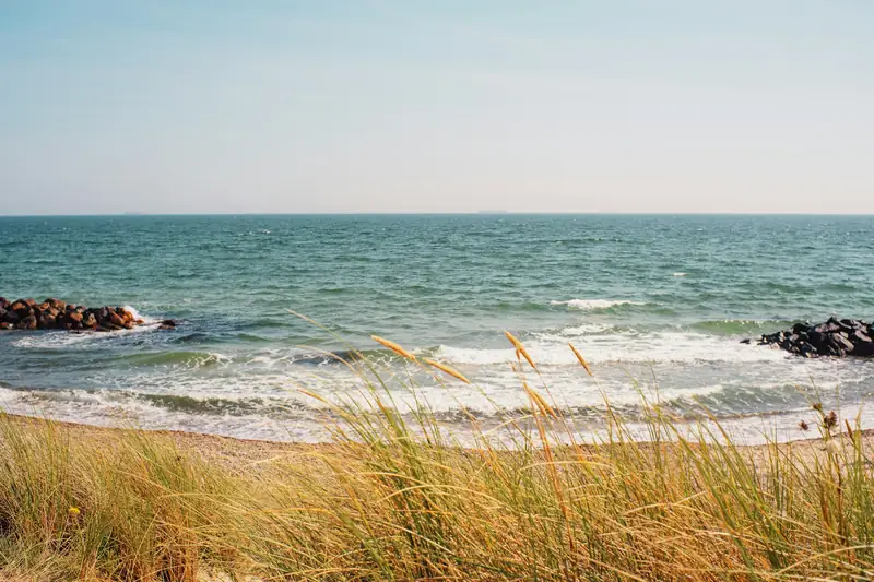 Strandgräs och sand framför havet vid Skagen