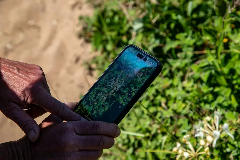 Hand som håller en mobil med satellitkarta